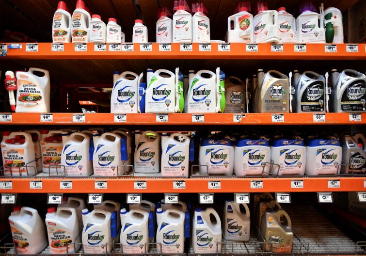 Bottles of Roundup and other brands of week killers fill up four rows of shelves in a hardware store.