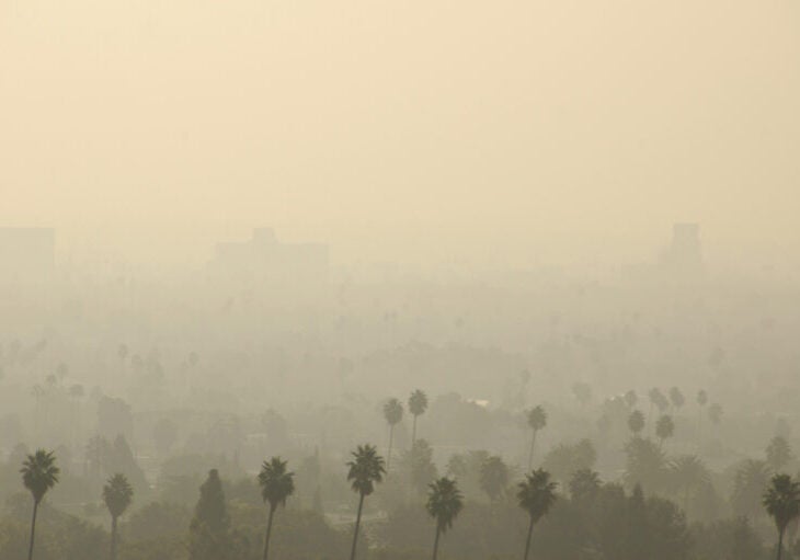 Los Angeles Smog