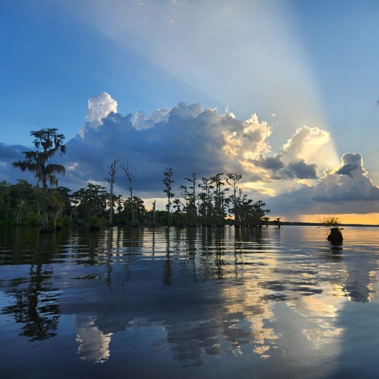 A ray of sunlight streams out from behind fluffy white clouds, over a lake with trees growing out of lake. The surface of the lake is slightly rippling, with the reflections of the clouds and trees visible. The sky in the distance below the clouds is a golden yellow color.