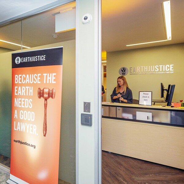 Earthjustice's New York office.