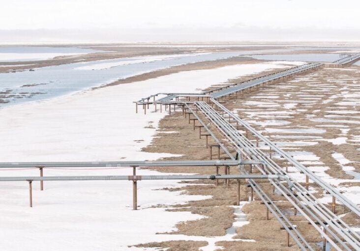 Fossil fuel pipelines crossing the Western Arctic in Alaska.