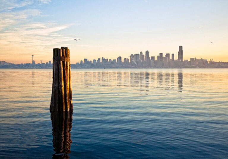 The Seattle skyline from across Elliott Bay.