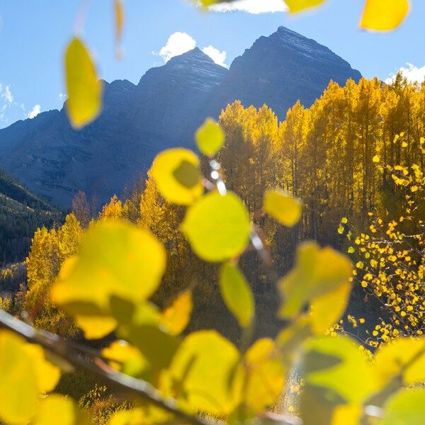 Fall colors in the Rocky Mountains.