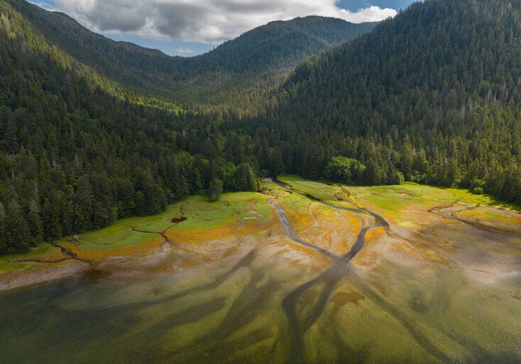Tongass National Forest, Kuiu Island, Prince of Wales Island, Alaska.
