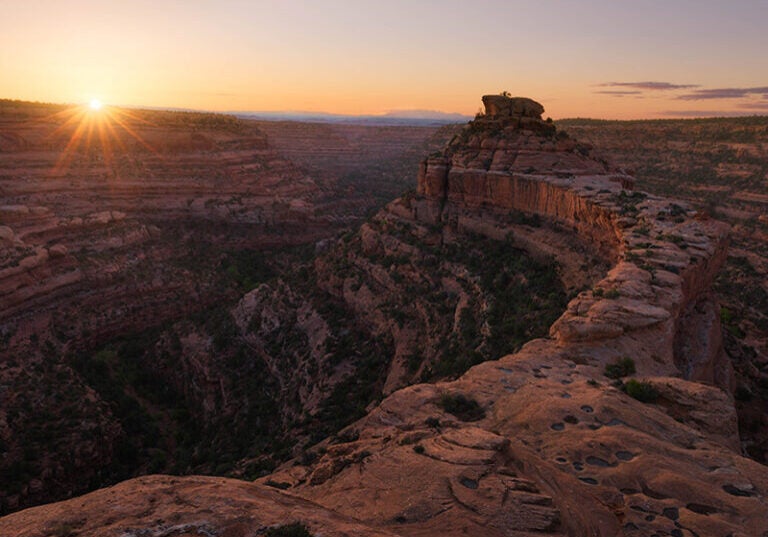 First light over Cedar Mesa in southeast Utah, Bears Ears National Monument.