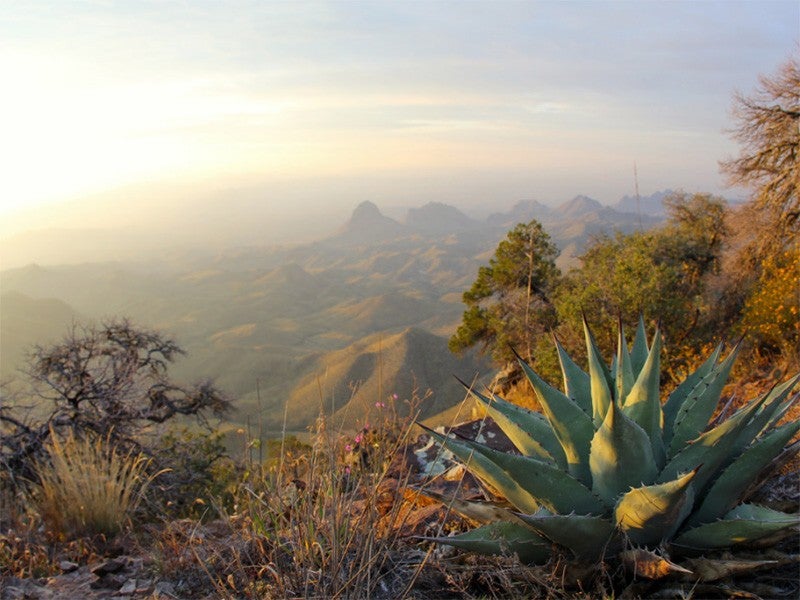 A hazy view at the South Rim overlook of Big Ben National Park in Texas.