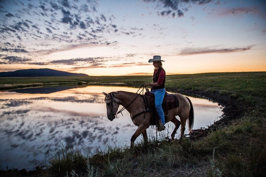 A bird researcher guides her horse along a grass bank in Montana.
