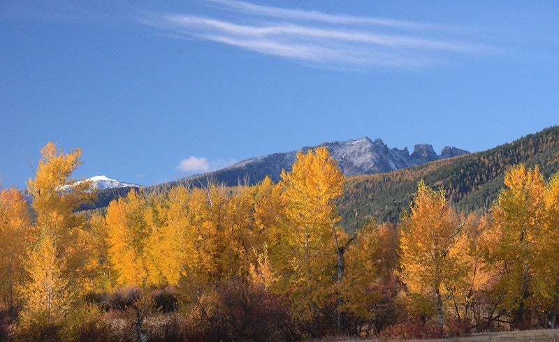 Bitterroot Valley Near Florence, MT. (U.S. Forest Service )