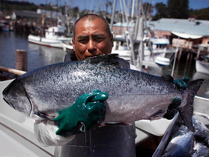 Fisherman Jose Chi holds up a salmon, caught during the spring 2014 run, at Fort Bragg, CA.
(Chris Jordan-Bloch / Earthjustice)