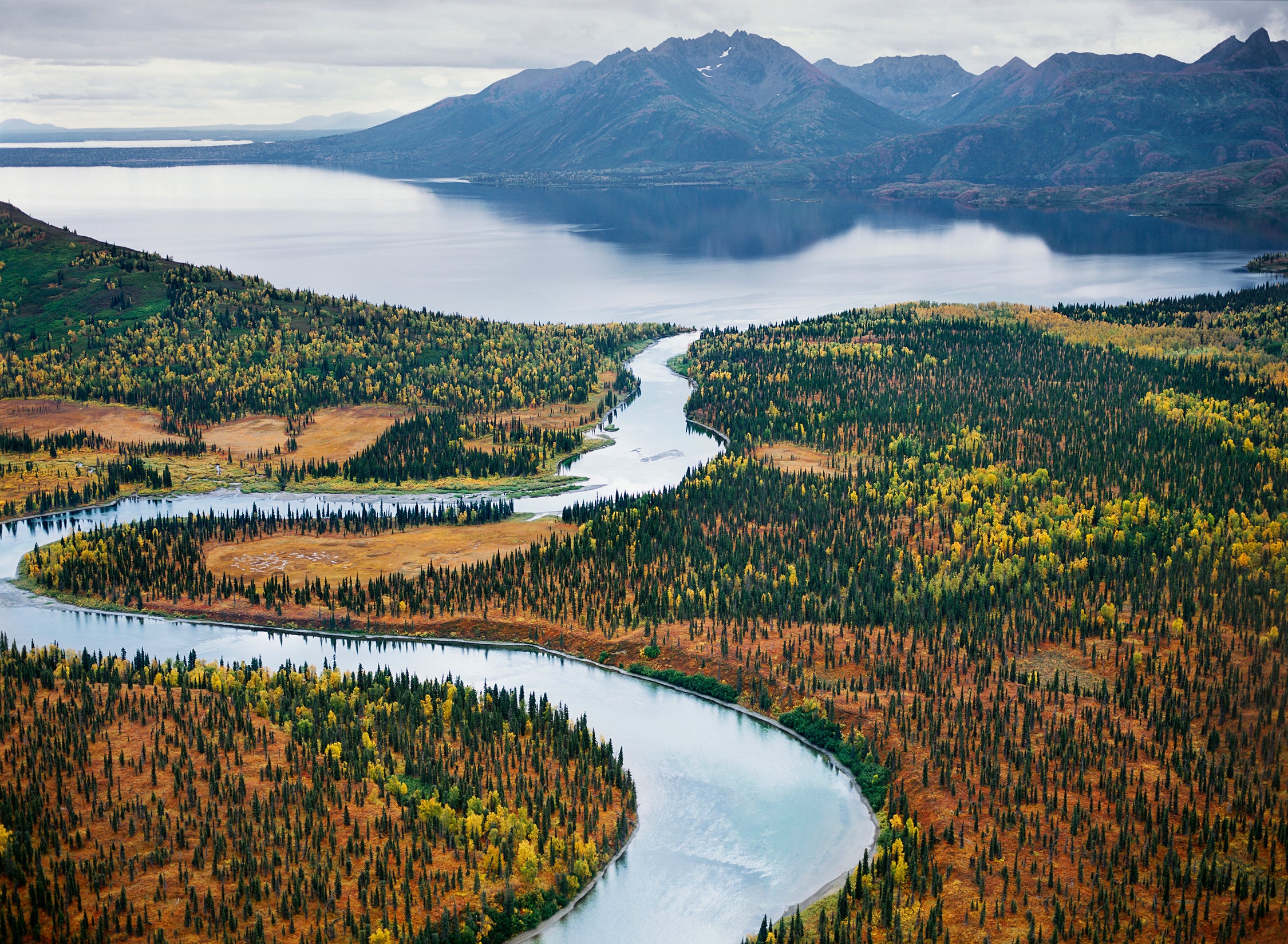 The Bristol Bay watershed.