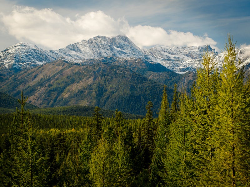 Cabinet Mountains by Scott Butner https://flic.kr/p/awEEif