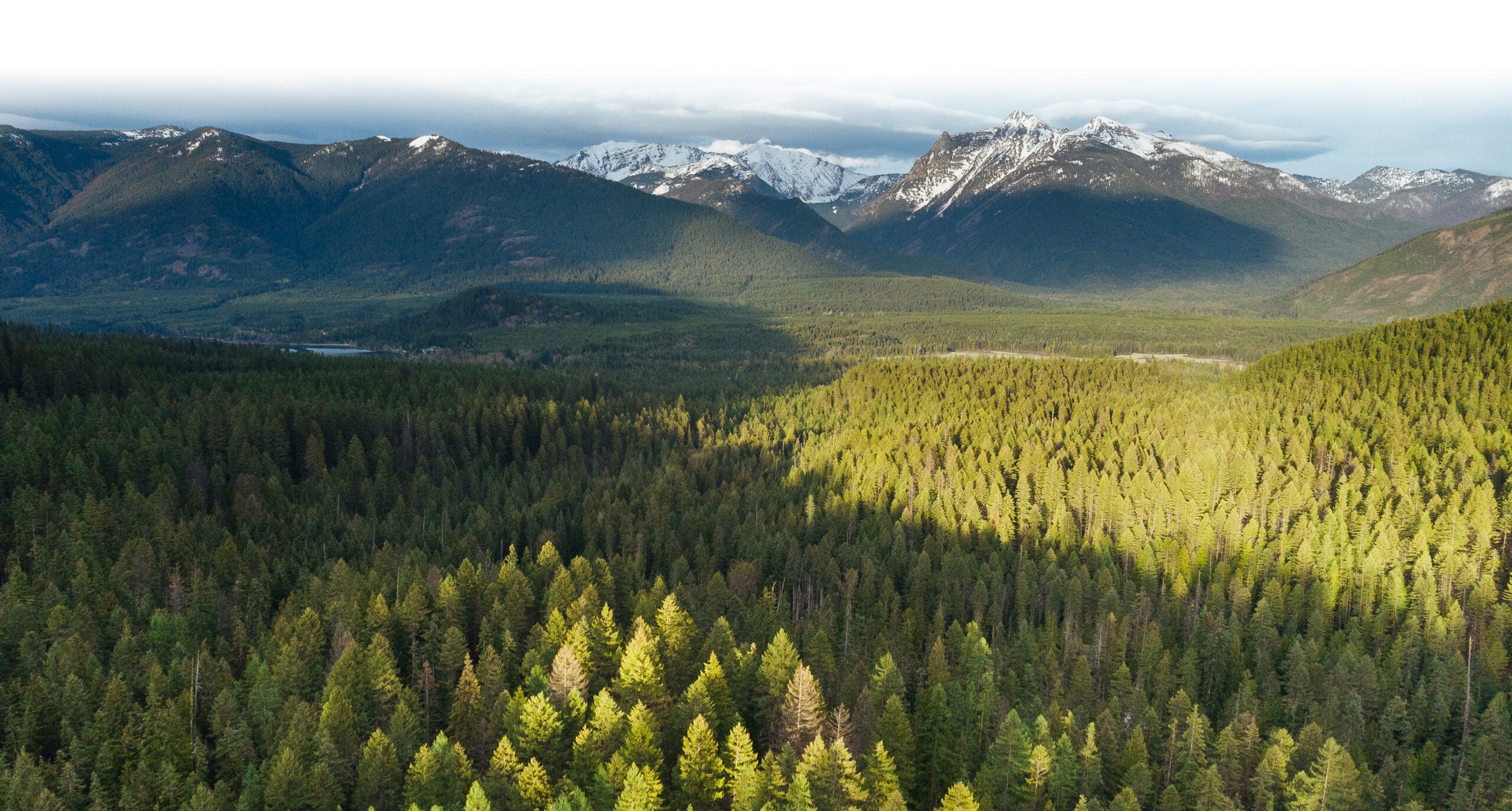 The Cabinet Mountains in Montana