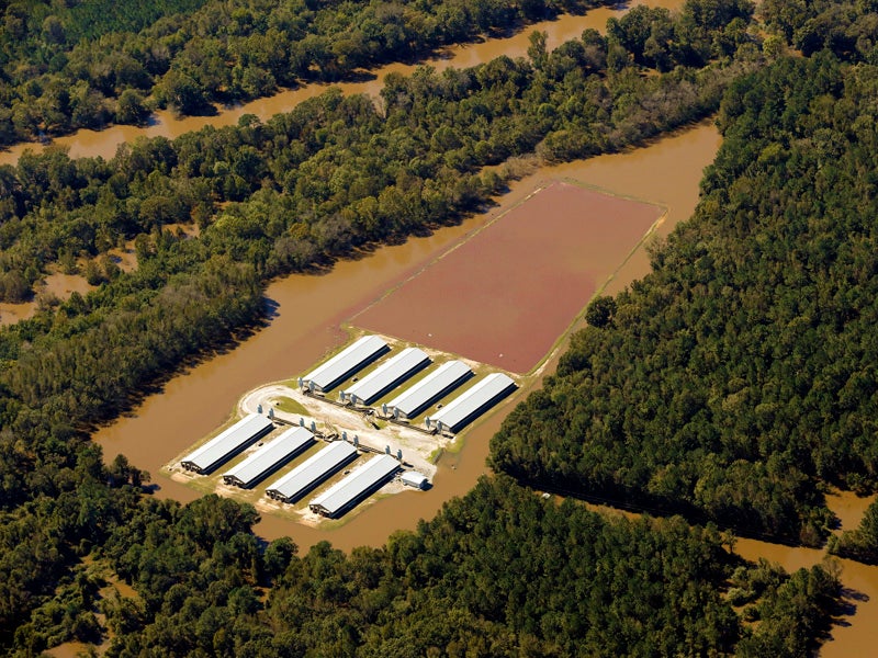 The waste lagoon of this North Carolina factory farm flooded in 2016 after Hurricane Matthew, contaminating the nearby Neuse river. Yesterday, the D.C. circuit court agreed with Earthjustice that the government and the public have a right to know about to