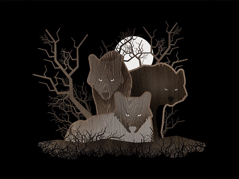 Wolf pack by Matt Brass