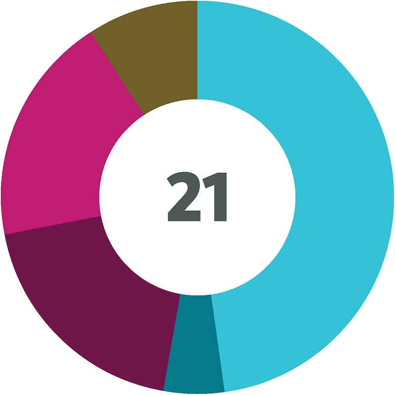 Demographic donut chart showing demographic breakdown of policy and legislation team in 2021.