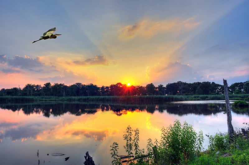 Chesapeake Bay at sunset.
(Lone Wolf Photos / Shutterstock.)