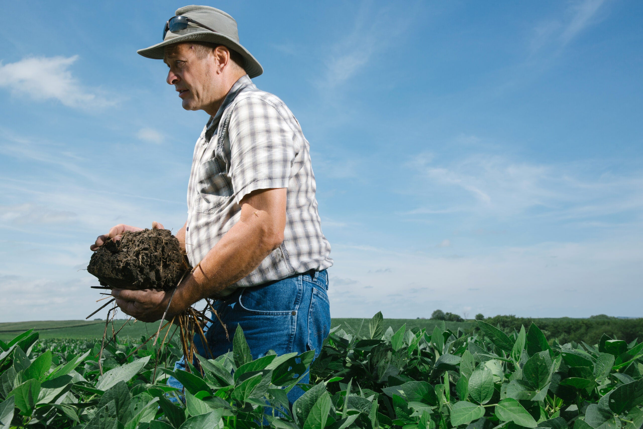 Chris Teachout, a fifth-generation farmer, examines the quality of his soil, which he keeps healthy by planting cover crops on his farm in southwest Iowa.
(Brad Zweerink for Earthjustice)