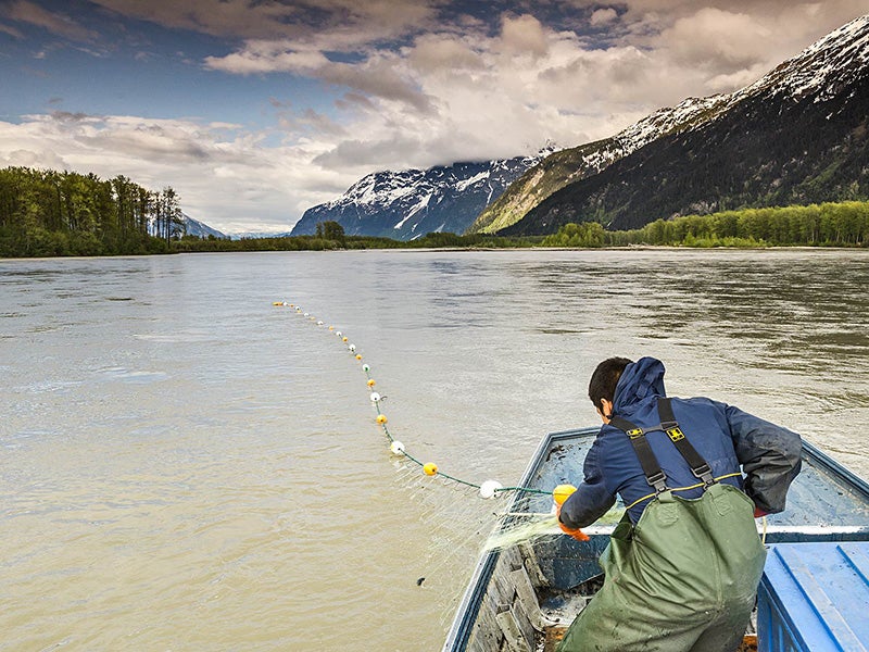 On the Taku River watershed. All six mines involve large-scale infrastructure development and generate immense quantities of tailings and mine wastes.
(Photo by Chris Miller)