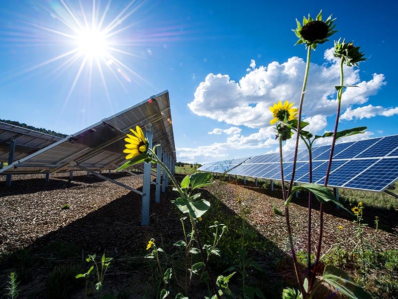 A photovoltaic array at the Mesa Verde Visitor and Research Center in Montezuma County, Colorado.  (Dennis Schroeder/NREL)