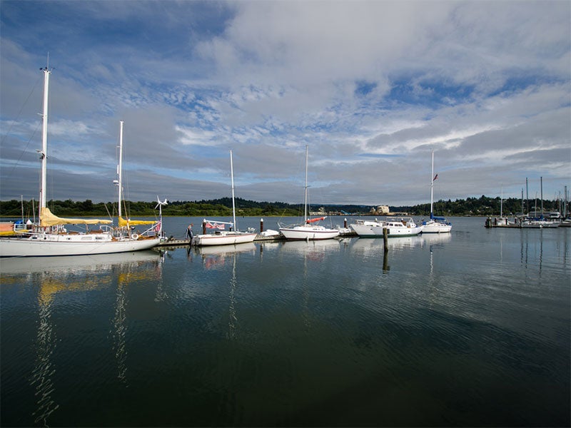 Coos Bay, Oregon.
(Photo courtesy of Pat Kight)