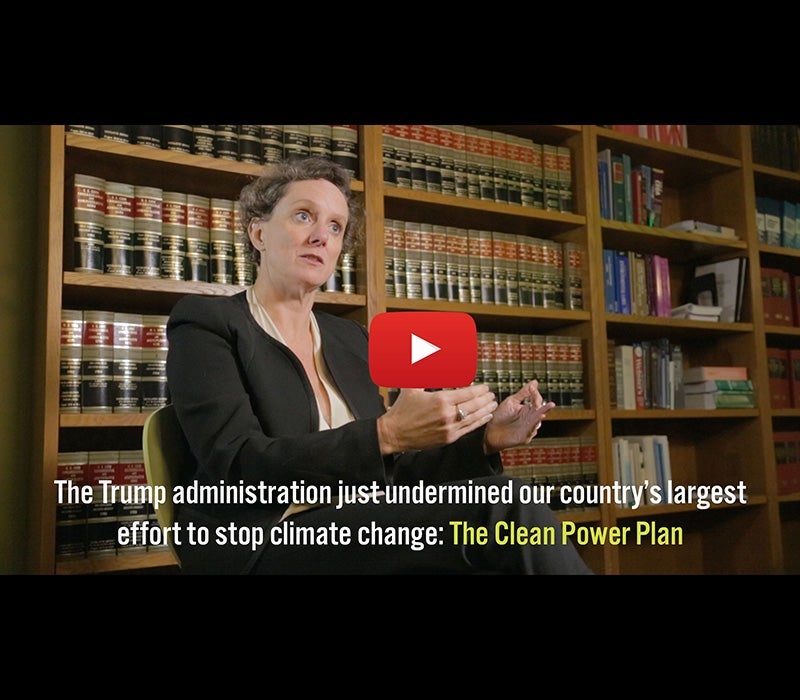 Abigail Dillen, VP of Litigation for Climate & Energy.