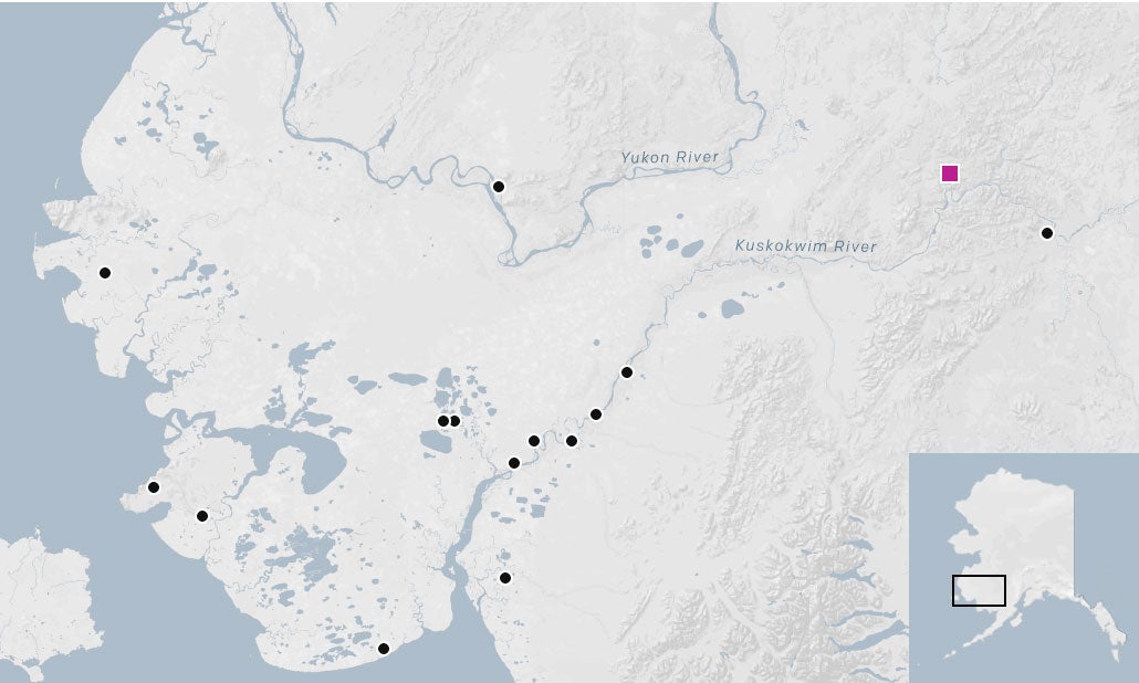 Crooked Creek, a salmon spawning stream that flows into the Kuskokwim is where a vast open pit mine is slated be.