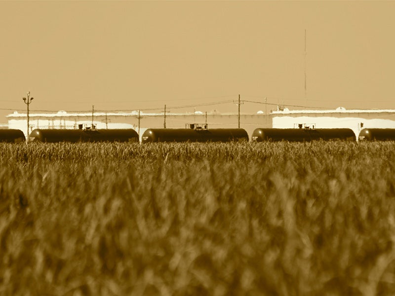 Crude oil tank cars.