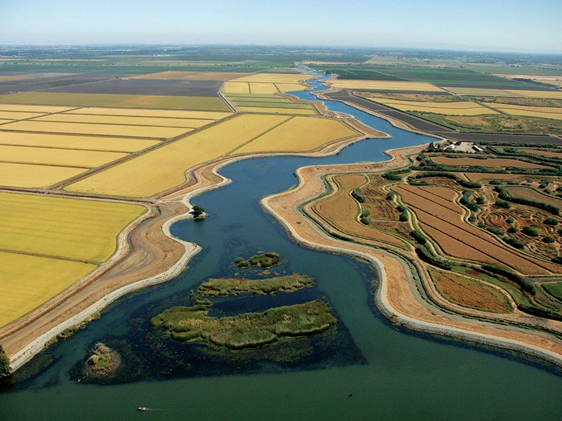 Farms along the Delta in California.
(Paul Hames / California Department of Water Resources)