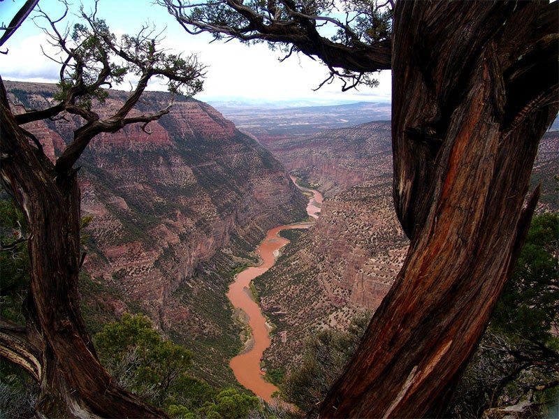 Dinosaur National Monument in Utah.