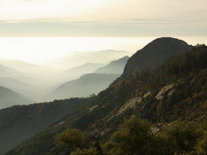 Smog obscures the San Joaquin Valley below Sequoia National Park. Despite persistent air pollution in the valley, the head of the district's Air Pollution Control testified against stronger regulations.
(Ed Keith/CC BY-NC-ND 2.0)