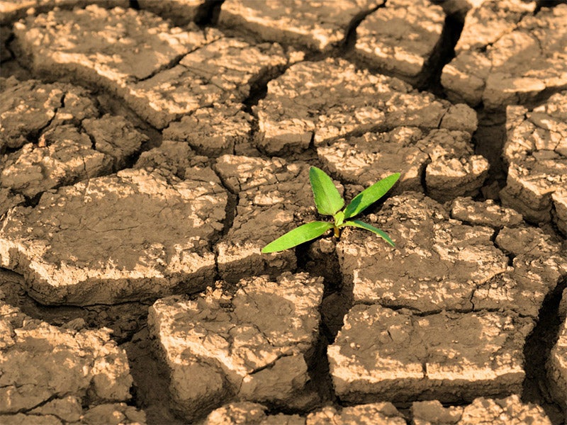 drought_andrey-emelyanenko-shutterstock-800