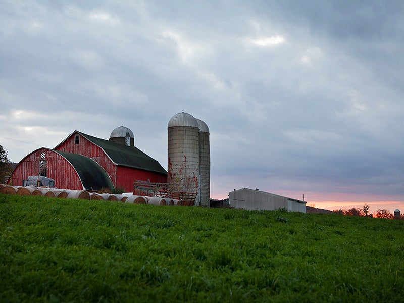 The Town of Dryden, in upstate New York, is fighting to preserve its way of life in a lawsuit pitting a small town's rights against an out-of-state oil and gas company’s wishes. And they're winning.
(Chris Jordan-Bloch / Earthjustice)