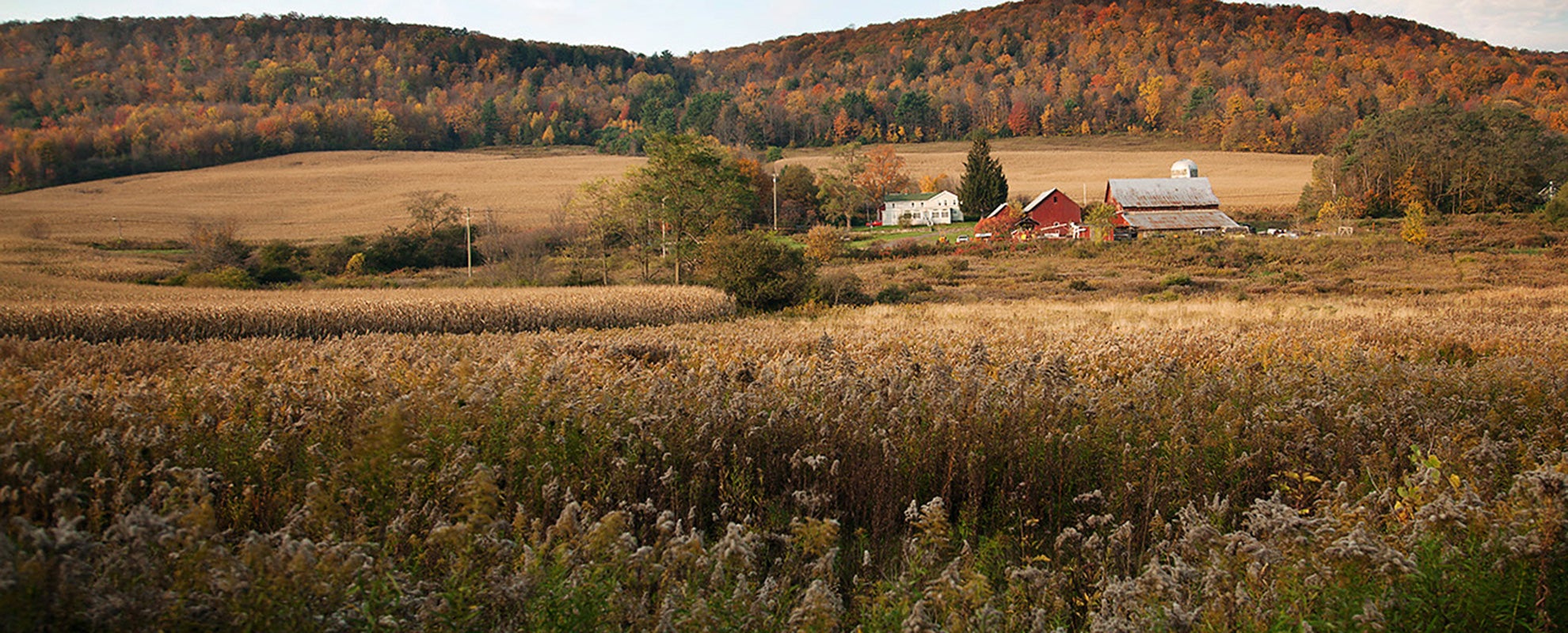A farmhouse near the town of Dryden in upstate New York.