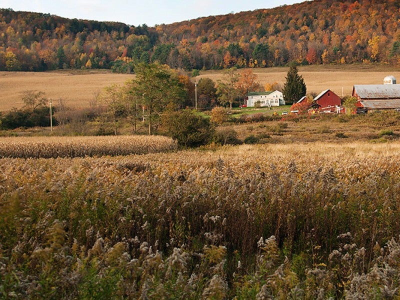 A farmhouse near the town of Dryden in upstate New York.
(Chris Jordan-Bloch / Earthjustice)
