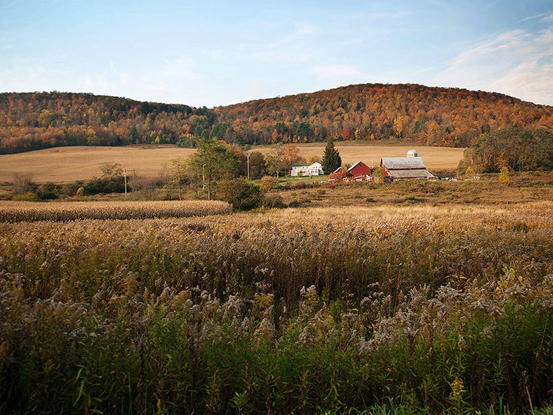 Small farms dot the landscape around the Town of Dryden.