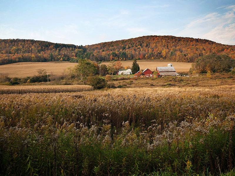 A farm near the town of Dryden in New York. Dryden won its precedent-setting fracking ban case one year ago tomorrow.
(Chris Jordan-Bloch / Earthjustice)