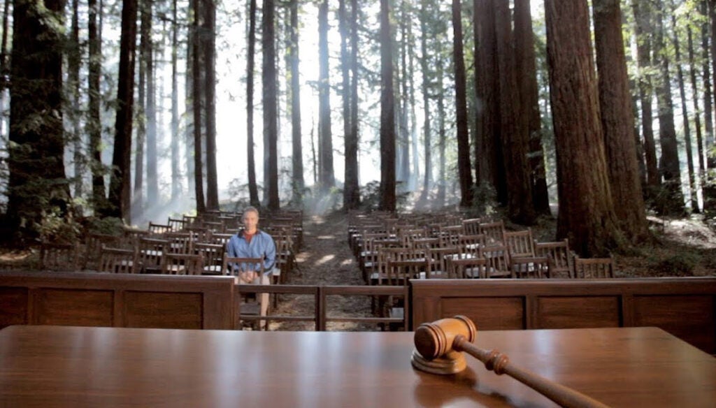 A hiker sits in a courtroom in the middle of a forest