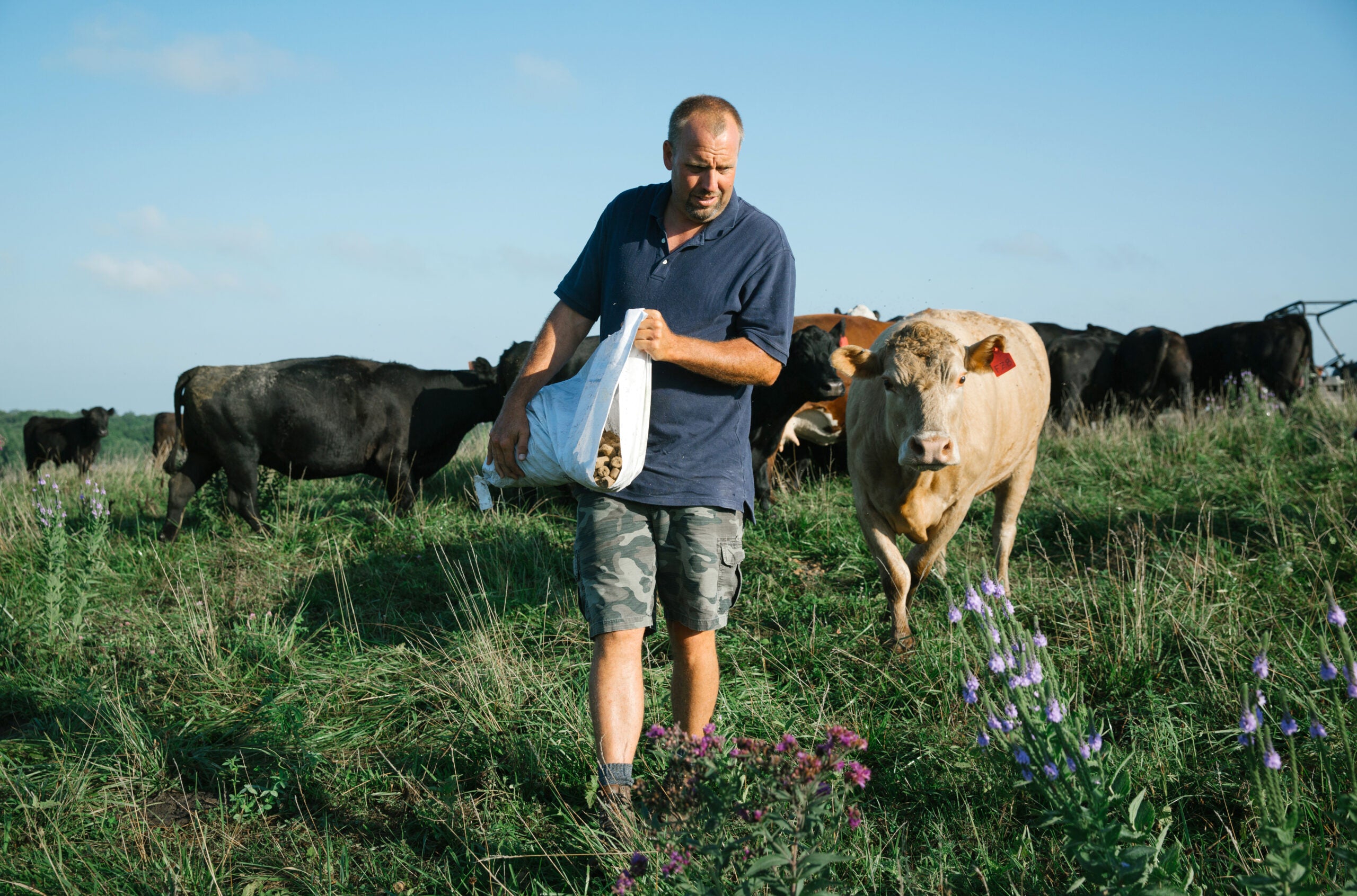 Farmers in Iowa, like Seth Watkins shown here feeding his cows, are restoring the land and climate by combining age-old practices with new knowledge. (Brad Zweerink for Earthjustice)