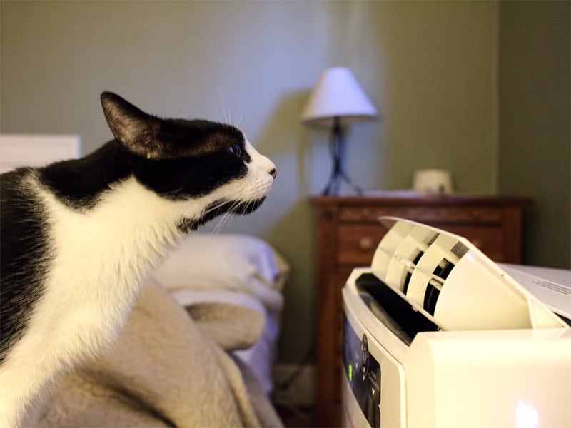 Portable air conditioners are among the appliances affected by the strengthened energy efficiency standards.
(Rick Cameron / CC BY-NC-SA 2.0)