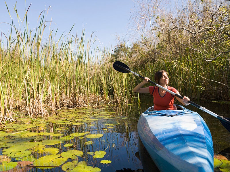 Kayaking through the Everglades. Florida’s tourism and fishing industries — which contribute tens of billions of dollars to the state’s economy — would be at risk, because they depend on healthy wetland ecosystems.
(Blend Images / PBNJ Productions)