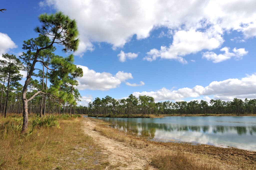 Everglades National Park
(Jose Antonio Perez / Shutterstock)