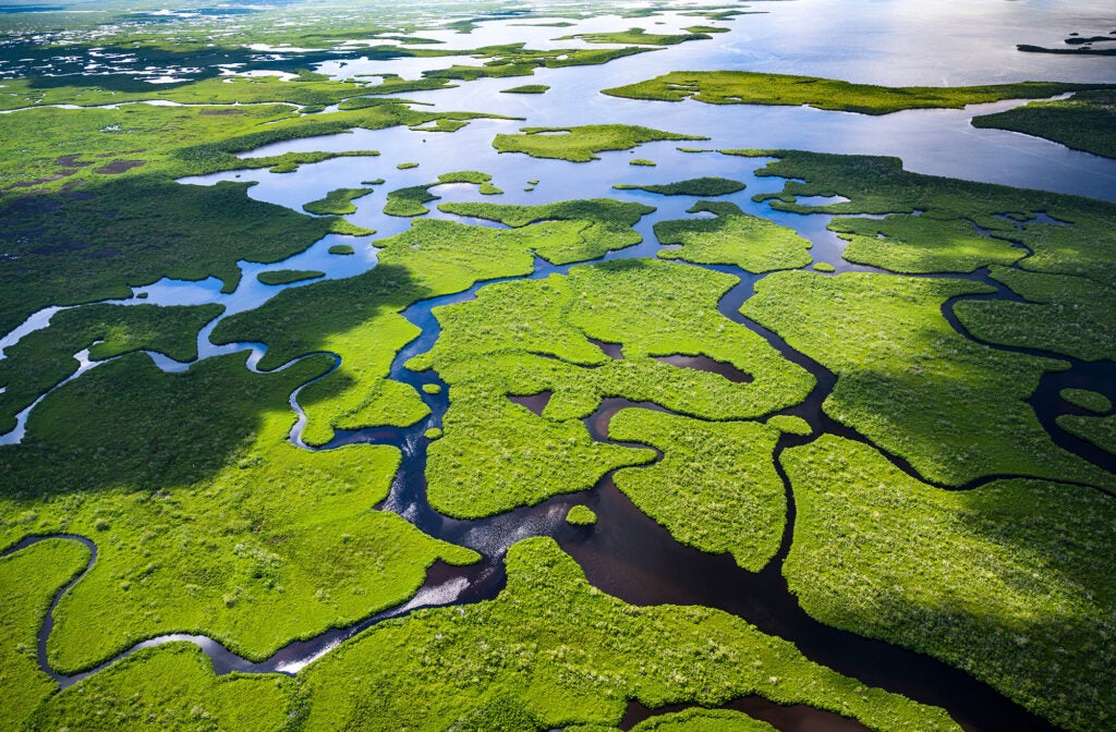 Aerial view of the Everglades National Park in Florida. Wetlands mitigate climate change, protect against floods, filter pollutants, recharge our drinking water supply, and provide homes to countless wildlife. (Tetra Images / Getty Images)