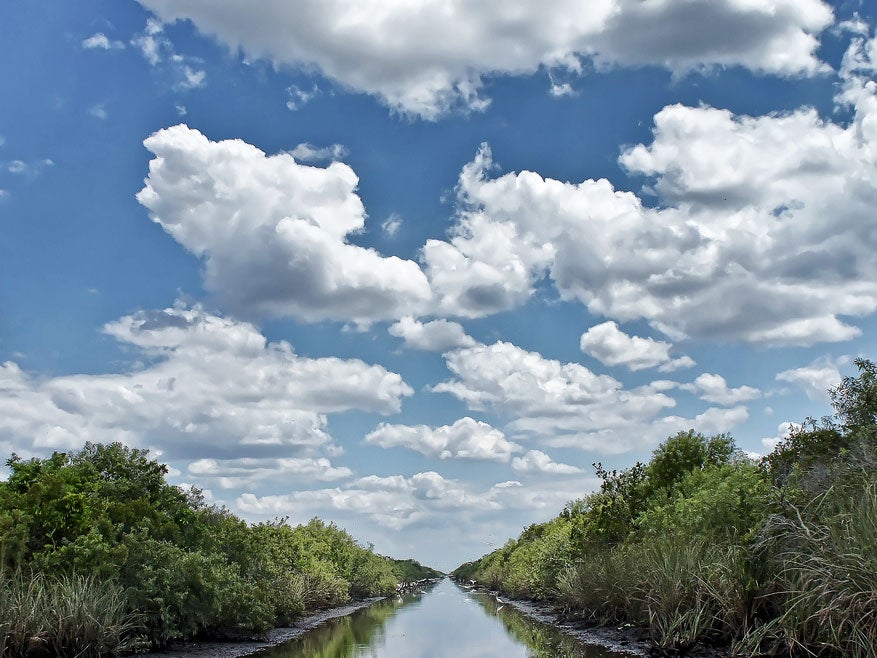 Earthjustice has been working to restore the Everglades for more than two decades.