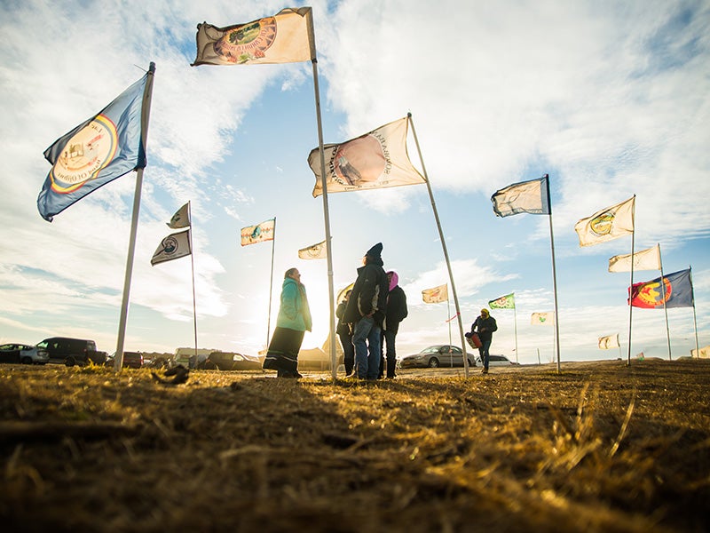 Flags fly at the Oceti Sakowin Camp in 2016, near Cannonball, North Dakota.
(Lucas Zhao / CC BY-NC 2.0)