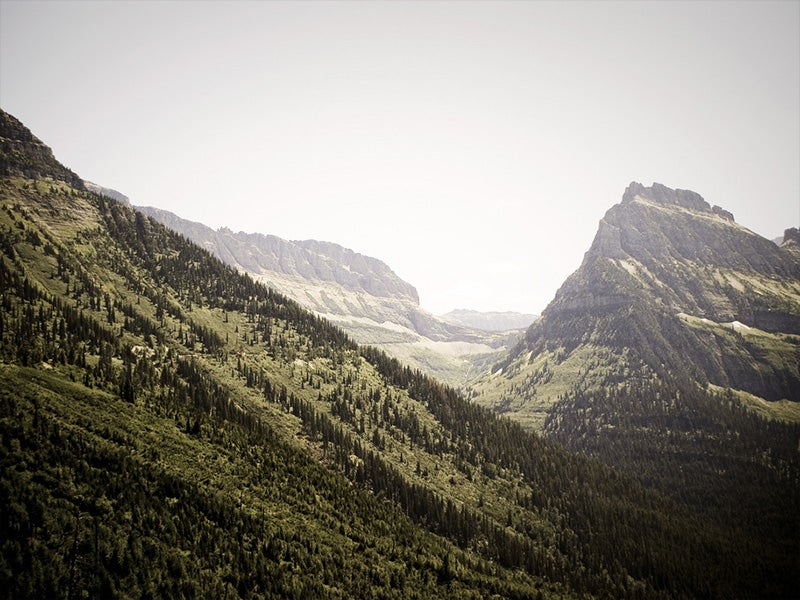 The Flathead provides abundant habitat for grizzly bears, wolves, and wolverines.
(Photo courtesy of TMView / Flickr)