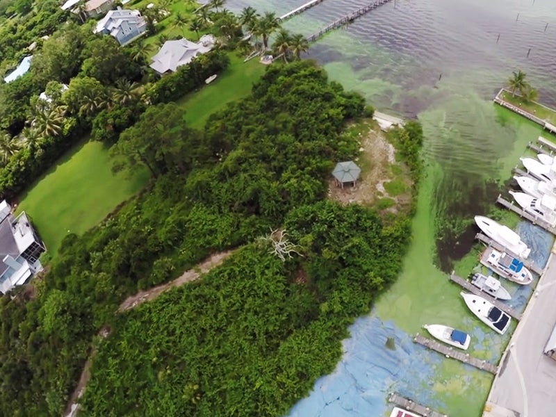 A toxic algae outbreak in Lake Okeechobee that’s fouling waterways on the Atlantic and Gulf coasts has focused the national spotlight on Florida’s water pollution nightmare.
(Photo courtesy of Dylan Hansen)