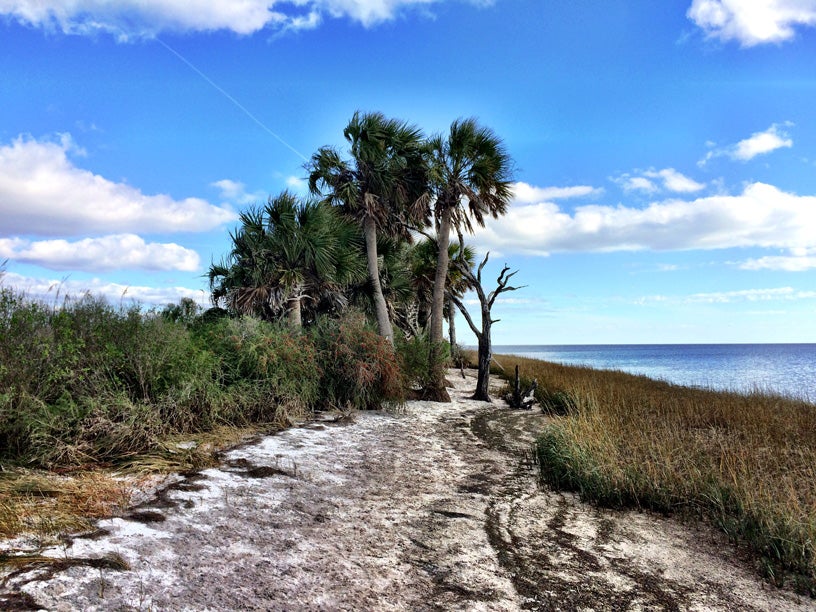 The Florida Forever conservation land-buying program was created to set aside funds for conservation to protect coastal areas like this one.