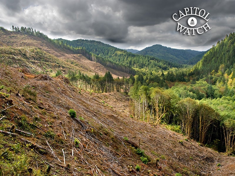 Clear-cut logging operations have already devastated forests in Oregon. This bill will allow even larger areas to be razed for timber production without public comment.