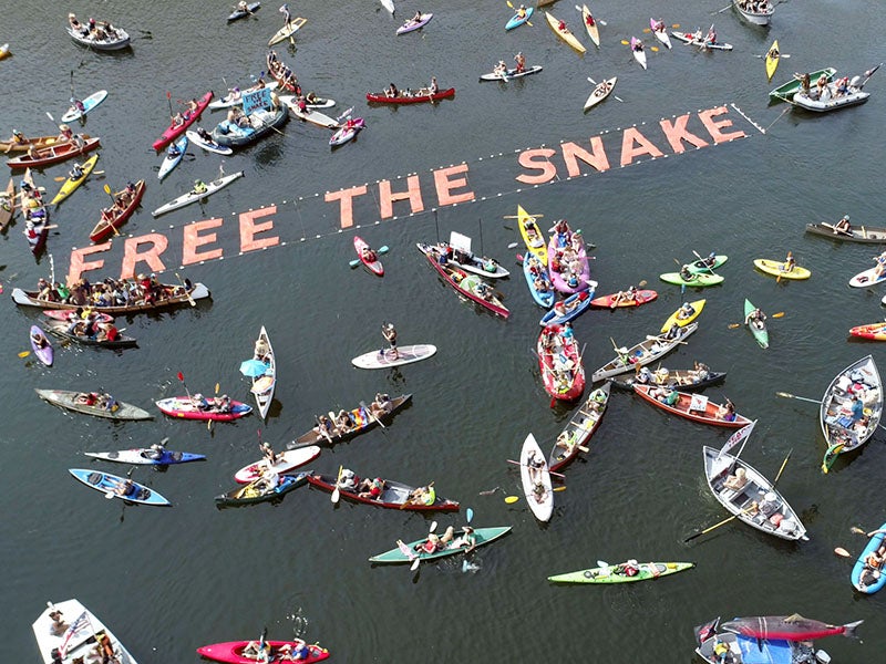 Hundreds of tribal members, boaters, anglers, local business owners and other river advocates take to the water on September 9, 2017 as part of the ‘Free the Snake Flotilla’ to advocate for dam removal on the Snake River.