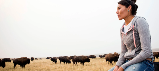 Edmo, who was previously the Bison Project Coordinator for the Tribe, watches over bison at the Blackfeet Nation's Bison Reserve in Browning, Montana. (Rebecca Drobis for Earthjustice)